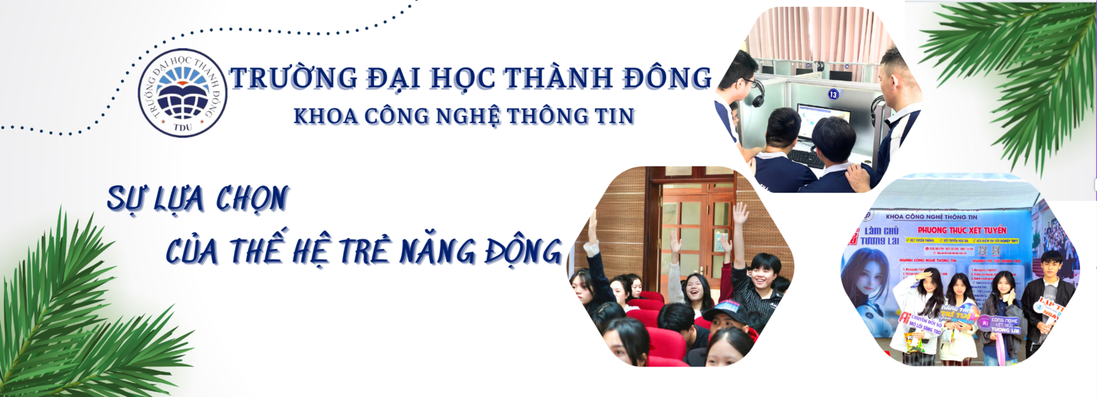 hinhanh