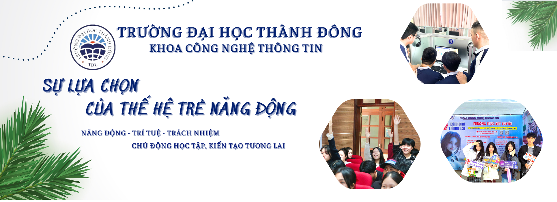 hinhanh